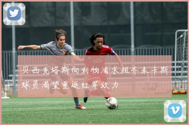 贝西克塔斯向利物浦求租齐米卡斯球员渴望重返红军效力