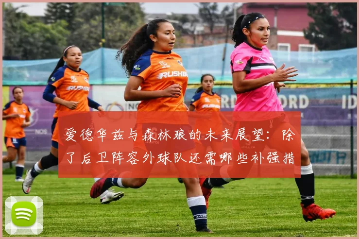 爱德华兹与森林狼的未来展望：除了后卫阵容外球队还需哪些补强措施
