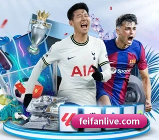 五个功能入口,赛程查询路径更短